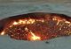 Turkmenistanul vrea să închidă „Poarta iadului”, un crater uriaș care arde de zeci de ani 