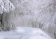 Fenomene meteo EXTREME, în România: cod galben de ninsori, polei și vânt puternic - rafale de până la 100 km/h