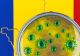 Coronavirus România. BILANȚ dublu în ultima săptămână - Județele cu cele mai multe cazuri COVID-19. Document