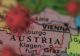 Încă o țară UE de declară NEUTRĂ în războiul dintre Rusia și Ucraina