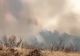 VIDEO Alertă în județul Buzău, incendii uriașe de vegetație în zona Breaza. Poluarea, comparabilă cu cea din Ucraina