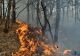 Incendiu devastator, în comuna Dragomirești, jud. Vaslui: 130 de hectare, mistuite