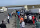 Argeş: Un TIR a lovit doi cai lăsaţi nesupravegheaţi le carosabil pe breteaua de acces a autostrăzii A 1