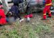Accident mortal în Bihor, în a doua zi de Paște: o femeie și un copil au murit după ce mașina lor a lovit un stâlp