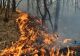 Incendiu puternic în pădure, în apropierea șantierului naval din Tulcea - focul ar fi fost pus intenționat