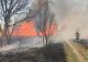 Incendiu de vegetație în Parcul Văcărești din Capitală. Au ars circa 4000 mp