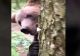 VIDEO - Mergea prin pădure când din spatele unui copac a apărut un urs - Totul a fost filmat