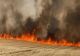 INCENDIU în Prahova: ard 3 hectare dintr-un lan de grâu!