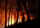 Incendiile de vegetație fac ravagii în Portugalia. Mii de hectare au fost devastate - VIDEO&FOTO