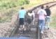 Cale ferată, BLOCATĂ de doi ponei și un măgar! Animalele, scoase de pe șine de pasageri - VIDEO