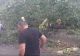 VIDEO | Cod roșu de furtuni. Vijeliile au făcut prăpăd în țară
