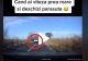 VIDEO – Imagini halucinante de pe o șosea din România – S-a trezit depășit de o mașină cu…parașuta