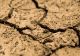Efectele secetei, devastatoare în România. Aproape 828.000 de hectare sunt afectate