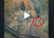 VIDEO – Mecanicul locomotivei a filmat drumul, din cabină, pe Valea Prahovei – Surpriză, ce i-a apărut brusc în cale