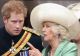Prințul Harry, alte dezvăluiri legate de familia regală britanică - Afirmații scandaloase despre consoarta regelui - Camilla - VIDEO