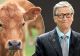 Bill Gates susține că vom mânca mai multă „carne falsă” în viitor: „Totul se reduce la bani”