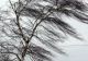 Alertă meteo de vreme severă - Cod galben de vânt puternic - Zonele vizate în următoarele ore