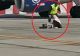 Scandal pe aeroportul Otopeni: o femeie a forțat porțile de securitate. Traficul aerian nu a fost afectat