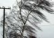 Vremea extremelor: Cod GALBEN de vânt puternic în 9 județe ale țării! Meteorologii au emis mai multe atenționări nowcasting