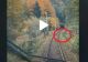 VIDEO – Ce a putut să filmeze mecanicul unei locomotive pe Valea Prahovei