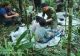 Patru copii, găsiți în viată după 40 de zile, în jungla columbiană amazoniană, după ce avionul cu care călătoreau s-a prăbușit - FOTO&VIDEO