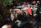 Accident groaznic pe Valea Oltului - Patru persoane au murit după ce un microbuz, un camion și o mașină s-au ciocnit