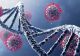 Concluzie după 3 ani de pandemie: Imunitatea dată de anumite gene determină COVID-19 asimptomatic la un sfert dintre cei infectați