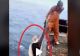 VIDEO – Pescarii când au văzut ce-au scos din mare, au aruncat-o repede înapoi de frică