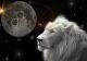 Momentul magic ce ne schimbă viața are loc pe 16 august 2023 - Luna Nouă în Leu face lumină în destine