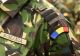 MApN recrutează tineri interesați să devină ofițeri, maiștri militari și subofițeri. Ce salarii sunt promise?