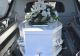 Domeniul în care afacerile înfloresc în ultimii ani în România: profituri uriașe pentru firmele de pompe funebre