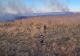 Incendiu de proporţii care se manifestă pe 150 de hectare de vegetaţie uscată, la Buzău