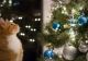 Trucurile prin care să ții pisica departe de bradul de Crăciun. Simple și eficiente, o vor face pe felină să ocolească pomul festiv
