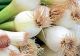 Ce se întâmplă în corpul tău dacă mănânci zilnic un fir de ceapă verde