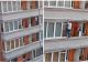 Spiderman a la Cluj. S-a cățărat pe bloc până la etajul 2 și oamenii s-au trezit cu el pe balcon. O femeie l-a mușcat de mână