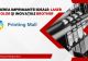 Alegerea Imprimantei Ideale: Laser vs Color și Inovațiile Brother (P)