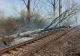 Trafic feroviar blocat complet. A izbucnit un incendiu, după ce mai mulți copaci au căzut peste linia de contact și peste șine