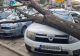 Atenție, cad copaci în București! Alertă emisă de ISU, este cod PORTOCALIU de vânt - FOTO