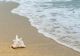 Noua taxă pentru turiștii de pe litoralul românesc. Tot ce trebuie să știe românii care aleg Eforie, Mangalia sau Saturn