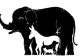 Poți să găsești cele 11 animale în 20 de secunde? Testul care dă bătăi de cap și geniilor