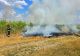 Șapte incendii de vegetație în Giurgiu. Autoritățile au intervenit de urgență
