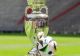 O zi până la debutul Euro 2024. Cum arată mingea oficial a turneului din Germania, care costă 150 de euro