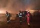 Incendiu devastator la o fermă din Cluj, 600 de porci au ars de vii - GALERIE FOTO