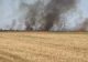 Incendiu de vegetaţie în judeţul Dolj, în apropierea DN 6. Trafic BLOCAT, din cauza marilor degajări de fum - FOTO/VIDEO