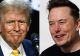 Scandal după interviul lui Donald Trump pentru Elon Musk. Republicanul i-a numit pe imigranți „zombie” și a zis despre Biden că e într-un „stadiu vegetativ”