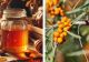 Cum să prepari siropul de cătină, cel mai puternic remediu pentru întărirea imunității