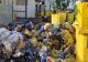 Protecție pentru MAFIA GUNOAIELOR: legături la nivel înalt. Populația, în pericol, mafioții fac AVERI din deșeuri