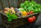 Toamna vine cu scumpiri masive. Legumele vor avea prețuri record