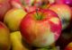 De ce se spune ca trebuie sa mâncam un măr pe zi pentru a ne mentine sănatosi. Ce beneficii au, de fapt, merele