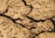 Seceta extremă face ravagii în Spania. Fermierii sunt disperați